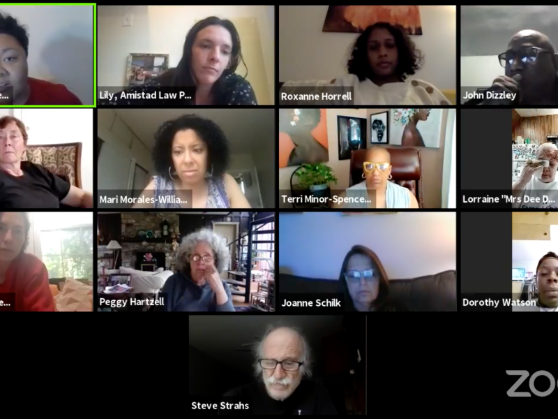 A screenshot shows a number of zoom participants with Kris Henderson addressing the audience
